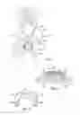 Fig. 02 - Methods of redistributing forces for the patella with spacers