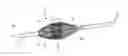 Fig. 01 - Endoluminal drug delivery device