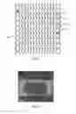 Fig. 02 - Biodegradable endoprostheses and methods of their fabrication