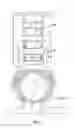 Fig. 10 - Ankle brace