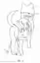 Fig. 06 - Medical Compression Device for Animals