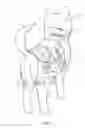 Fig. 07 - Medical Compression Device for Animals