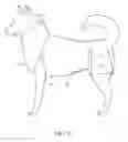 Fig. 12 - Medical Compression Device for Animals