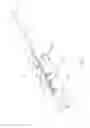 Fig. 02 - Tympanostomy tube delivery device with replaceable shaft portion