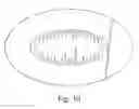 Fig. 07 - Adhesive dressing