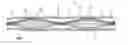 Fig. 01 - ABSORBENT SANITARY ARTICLE AND MACHINE FOR MAKING THE ARTICLE