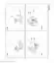 Fig. 13 - METHODS AND DEVICES FOR FLEXURAL ADULT DEVICES