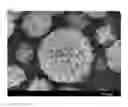 Fig. 02 - Silicone composite particle and a method for preparing the same