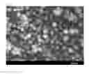 Fig. 03 - Silicone composite particle and a method for preparing the same