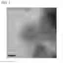 Fig. 02 - Silicon-oxide-coated zinc oxide and method for manufacturing same, silicon-oxide-coated-zinc-oxide-containing composition, and cosmetic