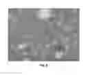 Fig. 04 - Structuring of cosmetic compostion using organogels