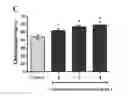 Fig. 08 - Anti-aging dietary composition containing polysaccharides derived from ginseng and tuber fleeceflower root