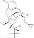 Fig. 02 - Sublingual buprenorphine spray