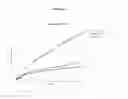 Fig. 09 - Pharmaceutical Compositions Comprising Everolimus