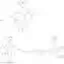 Fig. 10 - COMBINATION THERAPEUTIC NANOPARTICLES