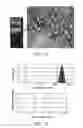 Fig. 02 - Edible plant-derived microvesicle compositions including conjugated therapeutic agents and methods for using the same