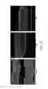 Fig. 09 - Edible plant-derived microvesicle compositions including conjugated therapeutic agents and methods for using the same