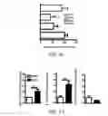 Fig. 16 - Edible plant-derived microvesicle compositions including conjugated therapeutic agents and methods for using the same