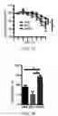 Fig. 24 - Edible plant-derived microvesicle compositions including conjugated therapeutic agents and methods for using the same