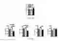 Fig. 29 - Edible plant-derived microvesicle compositions including conjugated therapeutic agents and methods for using the same