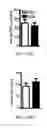 Fig. 32 - Edible plant-derived microvesicle compositions including conjugated therapeutic agents and methods for using the same