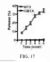 Fig. 44 - Edible plant-derived microvesicle compositions including conjugated therapeutic agents and methods for using the same