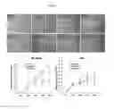 Fig. 04 - Pharmaceutical formulation for use in the treatment and/or prevention of restenosis