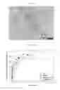 Fig. 11 - Pharmaceutical formulation for use in the treatment and/or prevention of restenosis
