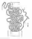 Fig. 02 - Stabilized mutant opsin proteins
