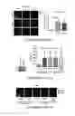 Fig. 27 - Compositions and methods for inhibiting intimal hyperplasia