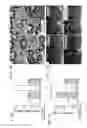 Fig. 02 - COMPOSITIONS AND METHODS FOR TREATING NEUROPATHY