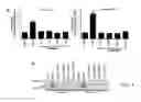 Fig. 11 - COMPOSITIONS AND METHODS FOR TREATING NEUROPATHY