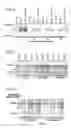 Fig. 13 - COMPOSITIONS AND METHODS FOR TREATING NEUROPATHY