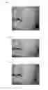 Fig. 12 - Minoxidil for suppressing androgen receptor function
