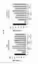 Fig. 13 - COMPOSITIONS AND METHODS FOR TREATMENT OF LEUKEMIA