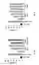 Fig. 18 - COMPOSITIONS AND METHODS FOR TREATMENT OF LEUKEMIA