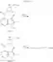 Fig. 20 - Pyrrolo[2,3-d]pyrimidine derivatives