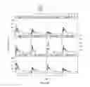 Fig. 27 - Methods of improving myocardial performance in fontan patients using udenafil compositions
