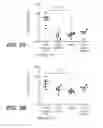 Fig. 03 - MUTANT SELECTIVITY AND COMBINATIONS OF A PHOSPHOINOSITIDE 3-KINASE INHIBITOR COMPOUND AND CHEMOTHERAPEUTIC AGENTS FOR THE TREATMENT OF CANCER