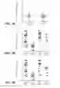 Fig. 04 - MUTANT SELECTIVITY AND COMBINATIONS OF A PHOSPHOINOSITIDE 3-KINASE INHIBITOR COMPOUND AND CHEMOTHERAPEUTIC AGENTS FOR THE TREATMENT OF CANCER