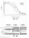 Fig. 05 - MUTANT SELECTIVITY AND COMBINATIONS OF A PHOSPHOINOSITIDE 3-KINASE INHIBITOR COMPOUND AND CHEMOTHERAPEUTIC AGENTS FOR THE TREATMENT OF CANCER