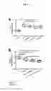 Fig. 03 - Treating auto-immune and auto-inflammatory diseases