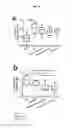 Fig. 05 - Treating auto-immune and auto-inflammatory diseases