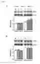 Fig. 03 - Galactooligosaccharide composition for use in preventing or treating cognitive dysfunction and emotional disturbances in neuropsychiatry illnesses or ageing
