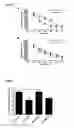 Fig. 07 - Galactooligosaccharide composition for use in preventing or treating cognitive dysfunction and emotional disturbances in neuropsychiatry illnesses or ageing
