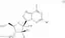 Fig. 102 - 2′-disubstituted nucleoside derivatives and methods of use thereof for the treatment of viral diseases