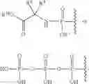 Fig. 110 - 2′-disubstituted nucleoside derivatives and methods of use thereof for the treatment of viral diseases