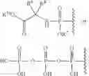 Fig. 31 - 2′-disubstituted nucleoside derivatives and methods of use thereof for the treatment of viral diseases