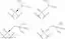 Fig. 37 - 2′-disubstituted nucleoside derivatives and methods of use thereof for the treatment of viral diseases
