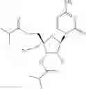 Fig. 1675 - COMBINATION THERAPY FOR TREATING A PARAMYXOVIRUS